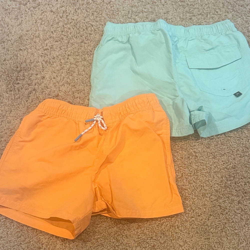 Art Class Swim trunks